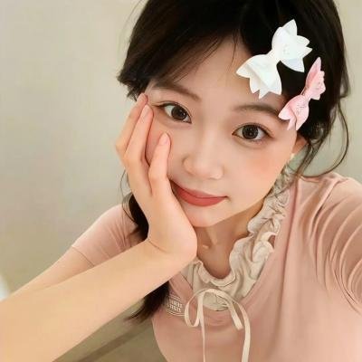 壁虎 海报