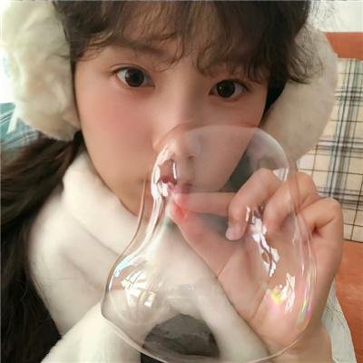 菩提树 海报